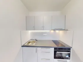Pronájem bytu 1+kk, Ostrava - Moravská Ostrava, 30. dubna, 30 m2