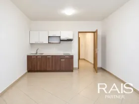 Prodej bytu 1+kk, Brno - Husovice, Svitavská, 30 m2