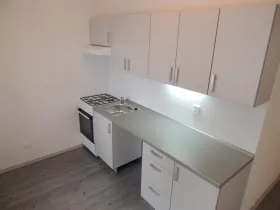 Pronájem bytu 2+1, Ostrava - Hrabůvka, Plavecká, 53 m2