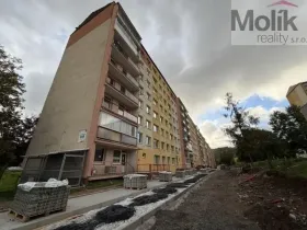 Pronájem bytu 3+1, Most, K. H. Borovského, 55 m2
