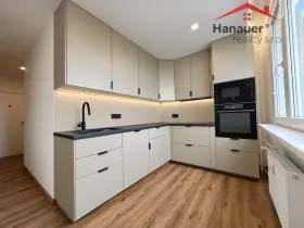 Pronájem bytu 2+1, Ústí nad Labem - Střekov, Nová, 64 m2