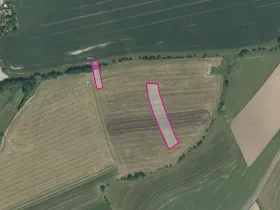 Prodej pole, Dnešice, 6631 m2