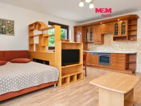Prodej bytu 1+kk, Železná Ruda, Belvederská, 33 m2
