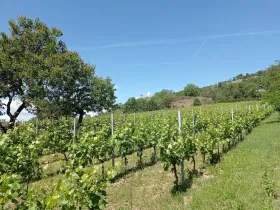 Prodej komerčního pozemku, Mikulov, Zlámalova, 3460 m2