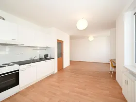 Pronájem bytu 1+kk, Praha - Záběhlice, Ginzova, 40 m2