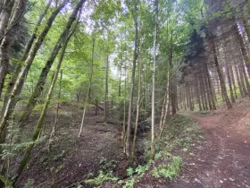 Prodej louky, Strážná, 2049 m2