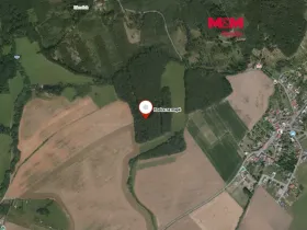 Prodej lesa, Roštění, 947 m2