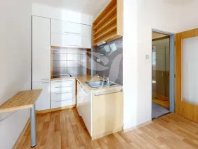 Pronájem bytu 1+kk, Plzeň, Mohylová, 18 m2