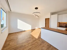 Prodej bytu 2+kk, Praha - Žižkov, Buková, 43 m2