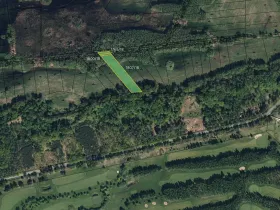 Prodej louky, Lázně Bohdaneč, 10075 m2
