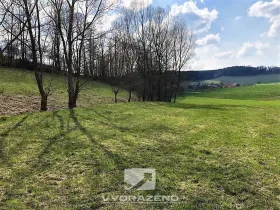 Prodej louky, Bílá - Petrašovice, 3277 m2