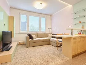 Prodej bytu 1+kk, Písek, 17. listopadu, 19 m2