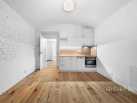 Pronájem kanceláře, Praha - Nusle, Sezimova, 50 m2
