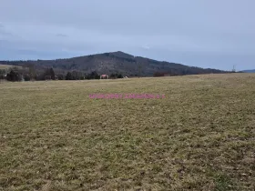 Prodej pozemku pro bydlení, Velká Bukovina, 950 m2