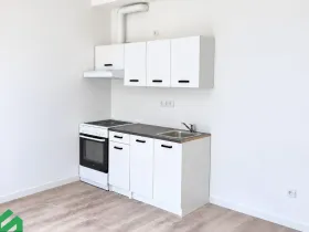 Pronájem bytu 1+kk, Praha - Libeň, Na Truhlářce, 30 m2