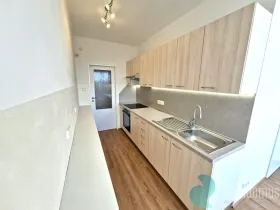 Pronájem bytu 1+1, České Budějovice, Kubatova, 50 m2