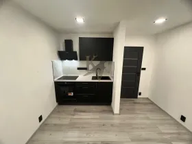 Pronájem bytu 1+kk, Ostrava, Čujkovova, 33 m2