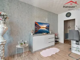 Prodej bytu 2+kk, Děčín - Děčín XXXII-Boletice nad Labem, V Sídlišti, 42 m2