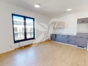 Pronájem bytu 1+kk, Plzeň, Železná, 30 m2