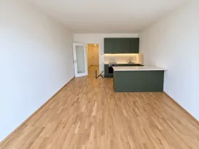 Pronájem bytu 1+kk, Praha, Švarcova, 36 m2