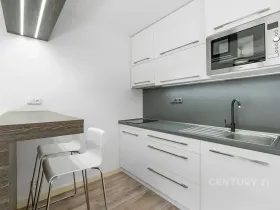 Pronájem bytu 1+kk, Děčín, Pohraniční, 19 m2