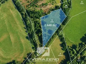 Prodej louky, Příkrý - Škodějov, 2448 m2