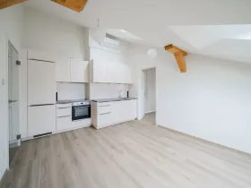 Pronájem bytu 2+kk, Praha - Nové Město, Václavské náměstí, 43 m2