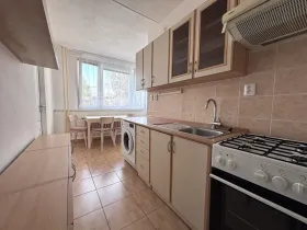 Pronájem bytu 2+1, Plzeň - Skvrňany, Lábkova, 59 m2