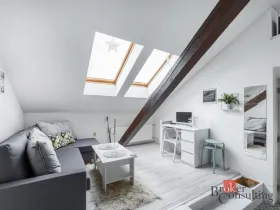Pronájem bytu 1+kk, Praha - Nové Město, Vladislavova, 26 m2