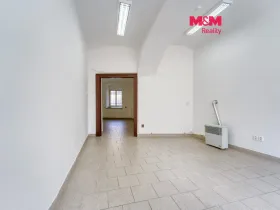 Pronájem obchodního prostoru, Plzeň - Jižní Předměstí, Palackého, 48 m2