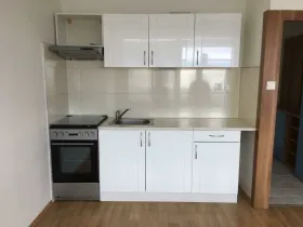 Pronájem bytu 1+1, Teplice - Řetenice, Bratislavská, 41 m2