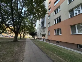 Prodej bytu 3+1, Opava - Předměstí, Olomoucká, 68 m2
