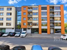Prodej obchodního prostoru, Písek - Pražské Předměstí, V Portyči, 229 m2