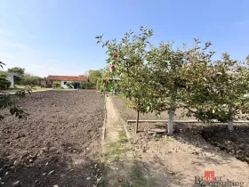 Prodej zahrady, Podivín, 401 m2