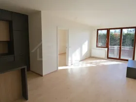 Pronájem bytu 2+kk, Praha, Davídkova, 64 m2