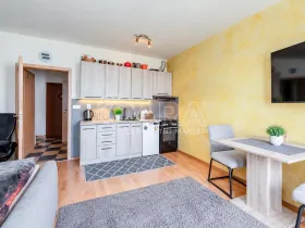 Pronájem bytu 1+kk, Strakonice - Strakonice I, Jezerní, 31 m2
