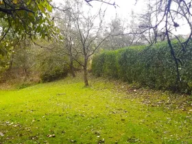 Prodej zahrady, Libina, 239 m2