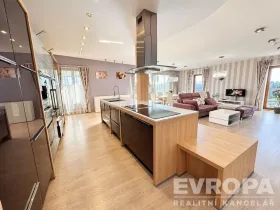 Pronájem bytu 3+kk, Plzeň - Jižní Předměstí, U Borského parku, 153 m2