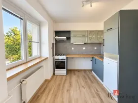 Pronájem bytu 1+1, Dolní Benešov, Osada míru, 32 m2