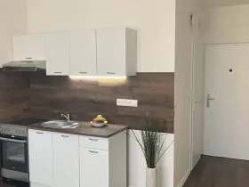 Prodej bytu 1+1, Chomutov, 17. listopadu, 36 m2
