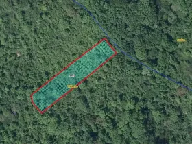 Prodej lesa, Třebenice, 1475 m2