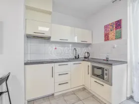 Pronájem bytu 1+kk, Trojanovice, 32 m2