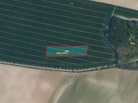 Prodej pole, Stránka, 7066 m2