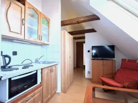 Pronájem bytu 1+kk, Benešov - Bedrč, 24 m2