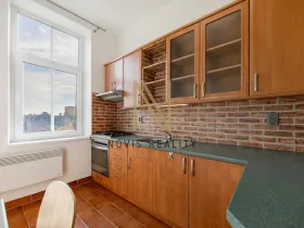 Pronájem bytu 1+1, Plzeň, Plzenecká, 42 m2