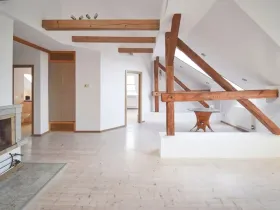 Prodej atypického bytu, Plzeň - Severní Předměstí, Křížkova, 68 m2