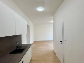 Prodej bytu 2+kk, Praha - Vysočany, Na břehu, 57 m2