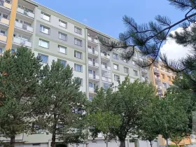 Prodej bytu 1+1, Ústí nad Labem - Mojžíř, Peškova, 36 m2