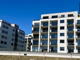 Pronájem garáže, Opava, Císařského pluku, 18 m2
