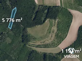 Prodej podílu lesa, Brumovice, 2323 m2